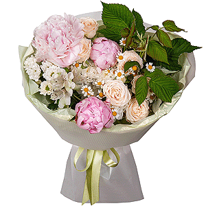Peony pink - 3, Baltica White Spray Chrysanthemum - 1, Chamomile - 2, Spray rose: white, cream, light pink 50 cm - 2, Alstromeria white, soft pink - 5, Santini White Spray Chrysanthemum - 1,  Raspberry branch, Wrapping Paper