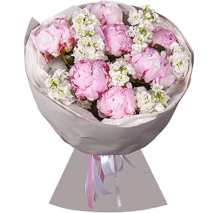 Peony Lace with delivery Krasnodar