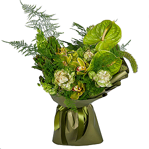Frog Princess with delivery Tver