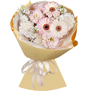 Joy of Life with delivery Kislovodsk