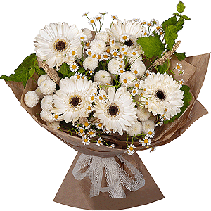 Gerbera white - 11, Chamomile - 4, Newton White Spray Chrysanthemum - 5, Dried flowers in assortment,  Raspberry branch, Wrapping Paper