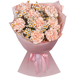 Chamomile Tenderness with delivery Ulan-Ude