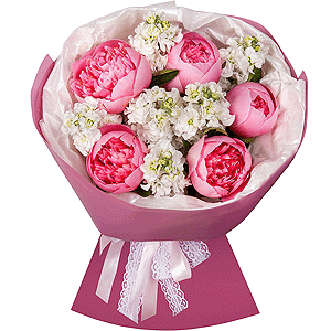 Peony Queen with delivery Moscow