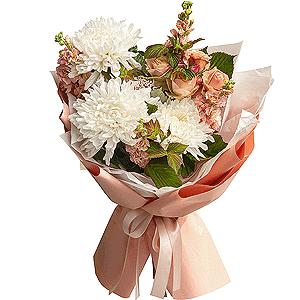 Star Student with delivery Moscow