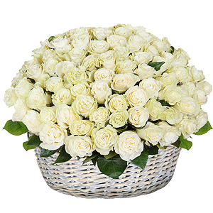 White rose 50 cm - 131, Large Basket, Oasis