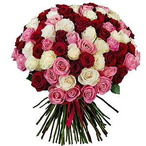 Bouquet of 101 multi-colored roses Premium Ecuador with delivery Bataysk
