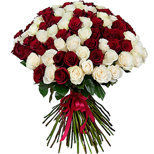 Bouquet of 101 red and white roses Ecuador Premium with delivery Moscow