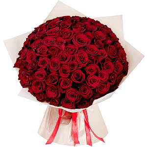 Rose Red 50 cm Ecuador - 131, Wrapping Paper
