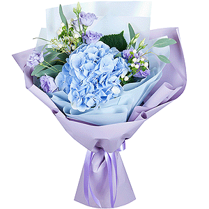 Blue/purple hydrangea - 1, Purple Lisianthus (Eustoma) - 4, Hypericum, Eucalyptus populus (1 pc.), Wrapping Paper