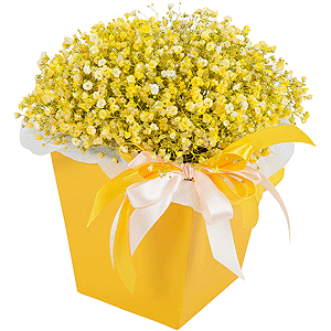 Golden Sands with delivery Moscow