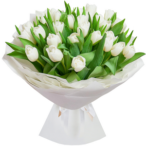 White tulips with delivery Moscow