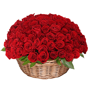 Basket of 101 red roses with delivery Volzhskiy