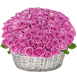 Pink rose 50 cm - 161, Large Basket, Oasis