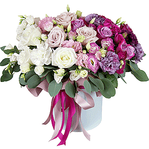Euphoria with delivery Moscow