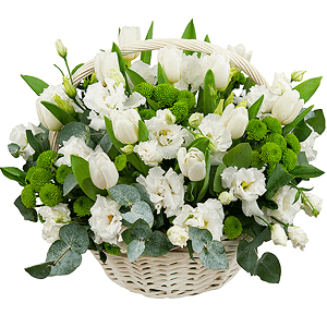 Snowdrops with delivery Voronezh