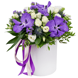 Vanda Orchid bud - 4, Spray rose: white, cream, light pink 50 cm - 7, lisianthus - 4, Round flower box small , Oasis, Film, Pistachio, Ruscus, Aspidistra (1 pc.), Flask for orchids, Eryngium, Blue Statice, Ribbon