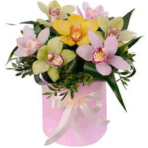 White Cymbidium Orchid Bud - 4, Orchid bud yellow/brown Cymbidium - 3, Green Cymbidium Orchid Bud - 4, Round flower box small , Oasis, Aspidistra (1 pc.), Pistachio, Ribbon, Flask for orchids