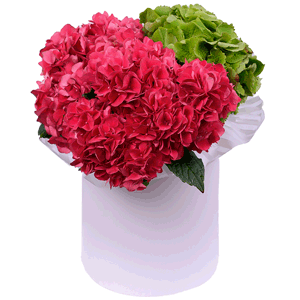 Strawberry souffle with delivery Moscow