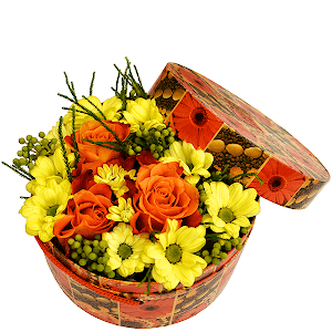 Bacardi Yellow Spray Chrysanthemum - 4, Rose 40 cm - 5, Brunia Green Lanuginosa (1 pc.), Oasis, Circular arrangement box
