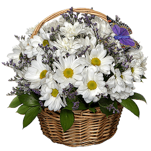 Bacardi White Spray Chrysanthemum - 5, Limonium (1 pc.), Ruscus, Butterfly (decor.), 1 pc., Oasis, Small Basket