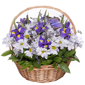 Irises - 9, Bacardi White Spray Chrysanthemum - 5, Limonium (1 pc.), Ruscus, Medium Basket, Oasis, Butterfly (decor.), 1 pc.