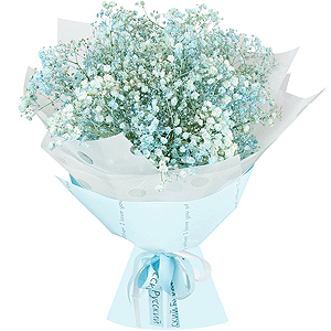 Sky-blue with delivery Cherepovets