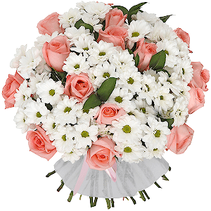 Provence Aroma Luxe with delivery Moscow