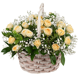 Rose garden with delivery Moscow