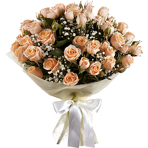 Spray rose: white, cream, light pink 50 cm - 9, Gypsophila - 1, Wrapping Paper