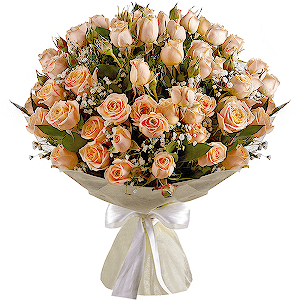 Spray rose: white, cream, light pink 50 cm - 16, Gypsophila - 1, Wrapping Paper