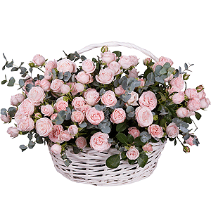 Peony sprayrose - 52, Large Basket, Oasis, Eucalyptus Cinerea