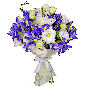 Sea Motive Luxe with delivery Yalta