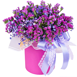 Gypsophila - 3, Round flower box small , Oasis, Pink Statice, Wrapping Paper