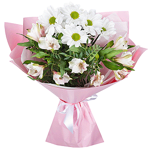 Tender dream with delivery Moscow