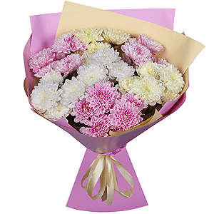 Timeless with delivery Moscow