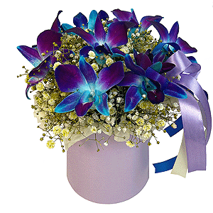 Gypsophila - 10, Orchid Dendrobium - 9, Flask for orchids, Oasis, Round flower box small , Ribbon