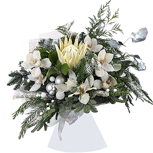 Bouquet &ldquo;Morozko&rdquo; with delivery Saint Petersburg