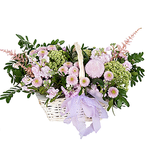 Morning Tenderness with delivery Noyabrsk