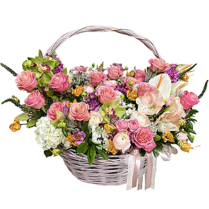  White Hydrangea - 2, White cut anthurium - 4, Green Cymbidium Orchid Bud - 16, Lilies - 10, Matthiola Lilac - 10, Rose Pink 50 cm Ecuador (Chelo, Hermosa, Novia, Titanik, Engagement, Pink Mondiale) - 45, Pink amaryllis - 1, Peony sprayrose - 28, Pink tulip - 38, Ranunculus Pink - 17, Baltica White Spray Chrysanthemum - 30, White Matthiola - 10, Large Basket, Oasis, Flask for orchids, Veronica spray, Wrapping Paper, Ozotamnus, Fern (1 pc.)