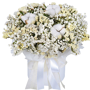 Cloud Softness with delivery Moscow