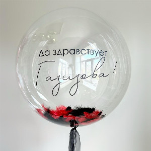Bubble Ball "Bachelorette Party" with delivery Saint Petersburg