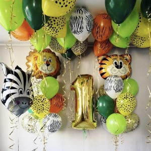 Balloon Set "Call of the Jungle" with delivery Saint Petersburg