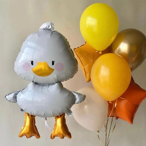 Balloon Set "Hugging Goose" with delivery Saint Petersburg