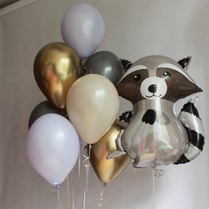 Balloon Set "Baby Raccoon" with delivery Saint Petersburg