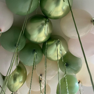 Balloon Set "Eucalyptus" with delivery Saint Petersburg