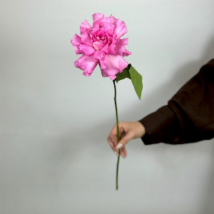 "Love Rose" with delivery Vladimir