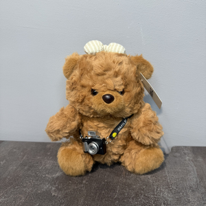 Bear "Young Photographer" with delivery Krasnodar