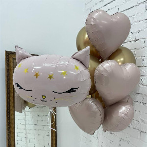 Balloon Set "Pink Cat" with delivery Saint Petersburg