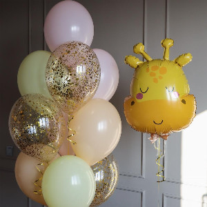 Balloon Set "Spotty" with delivery Saint Petersburg