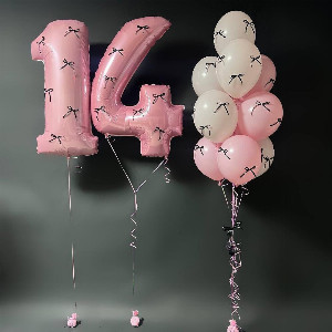 Balloon Set "Dream" with delivery Saint Petersburg